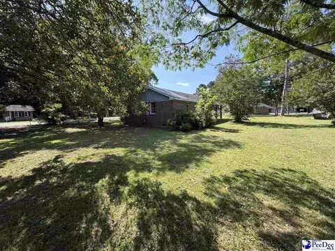 705 E Moore St, Olanta, SC 29114 photo 16