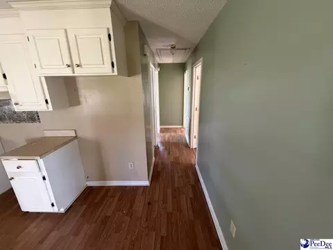 705 E Moore St, Olanta, SC 29114 photo 5
