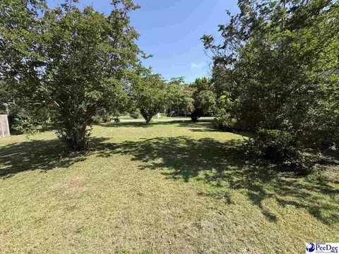 Exterior - 705 E Moore St, Olanta, SC 29114 photo 6 of 8