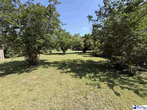 705 E Moore St, Olanta, SC 29114 photo 15