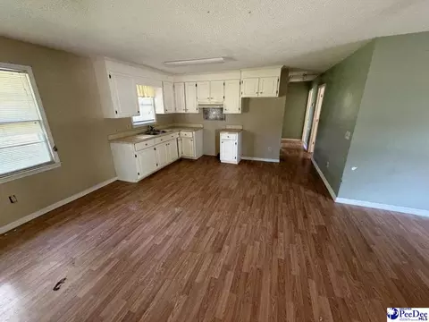 705 E Moore St, Olanta, SC 29114 photo 4