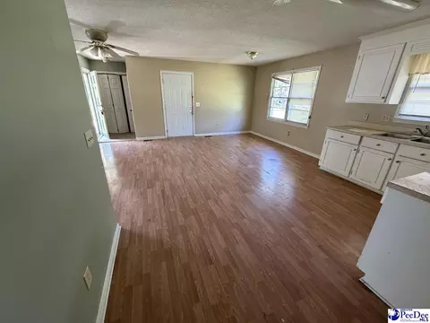705 E Moore St, Olanta, SC 29114 photo 10
