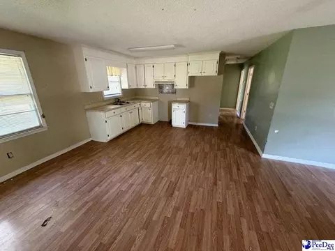 Other - 705 E Moore St, Olanta, SC 29114 photo 2 of 3