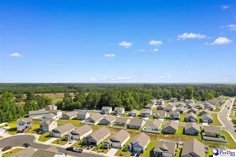 View/Area - 620 Muster Field Ct, Conway, SC 29526 photo 10 of 10
