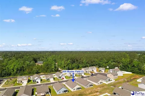 View/Area - 620 Muster Field Ct, Conway, SC 29526 photo 1 of 10