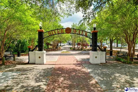 Other - 620 Muster Field Ct, Conway, SC 29526 photo 15 of 17