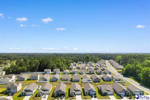 View/Area - 620 Muster Field Ct, Conway, SC 29526 photo 8 of 10