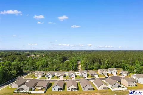 View/Area - 620 Muster Field Ct, Conway, SC 29526 photo 4 of 10