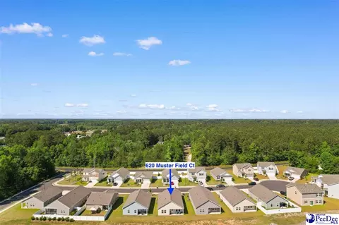 View/Area - 620 Muster Field Ct, Conway, SC 29526 photo 3 of 10