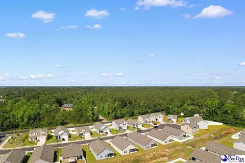 View/Area - 620 Muster Field Ct, Conway, SC 29526 photo 2 of 10