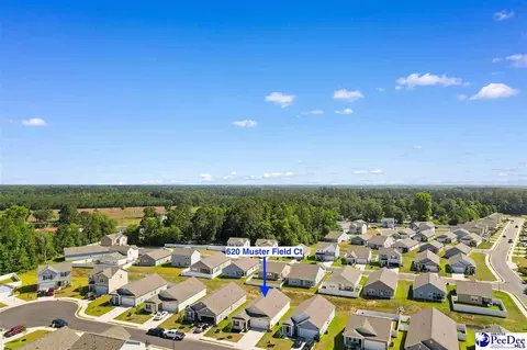 View/Area - 620 Muster Field Ct, Conway, SC 29526 photo 9 of 10