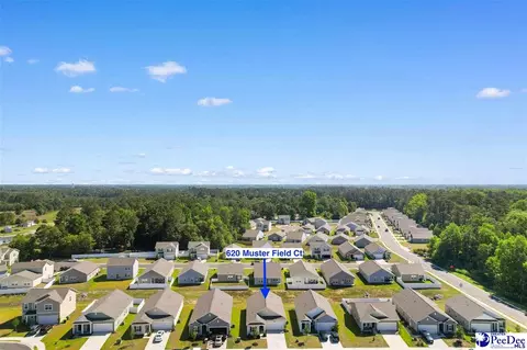 View/Area - 620 Muster Field Ct, Conway, SC 29526 photo 7 of 10