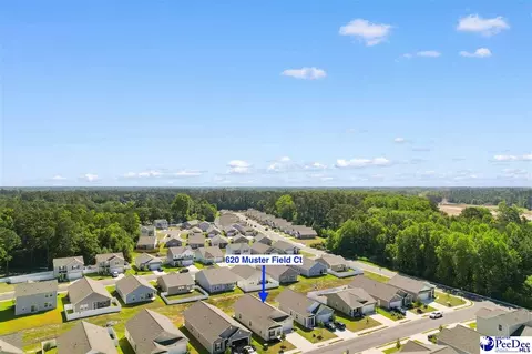 View/Area - 620 Muster Field Ct, Conway, SC 29526 photo 5 of 10