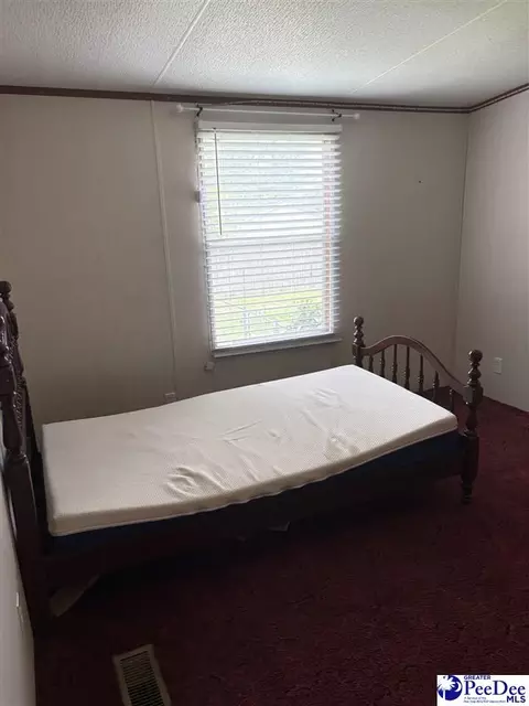 455 Bbb Cir, Patrick, SC 29584 photo 17