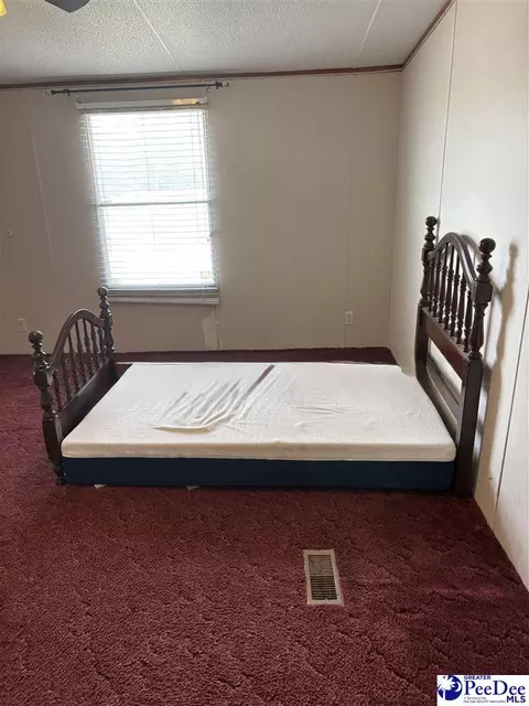 455 Bbb Cir, Patrick, SC 29584 photo 19