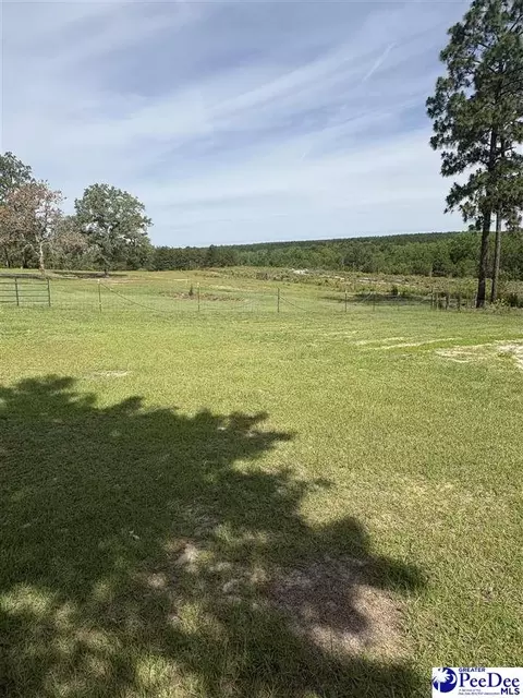 455 Bbb Cir, Patrick, SC 29584 photo 30