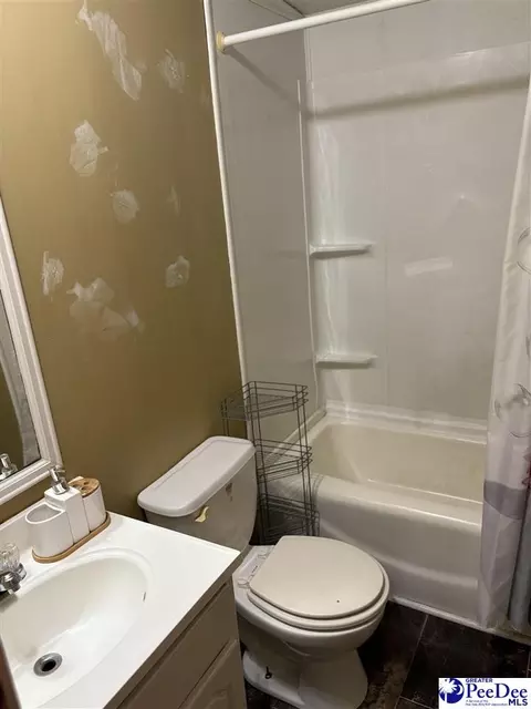 455 Bbb Cir, Patrick, SC 29584 photo 18