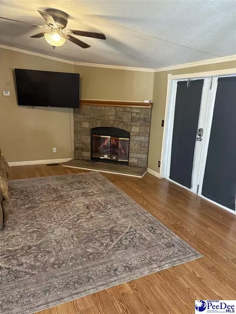 455 Bbb Cir, Patrick, SC 29584 photo 9