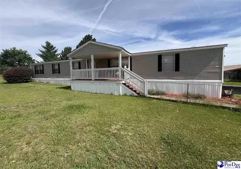 455 Bbb Cir, Patrick, SC 29584