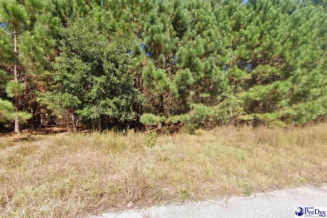 442 Pembroke Blvd, Johnsonville, SC 29555