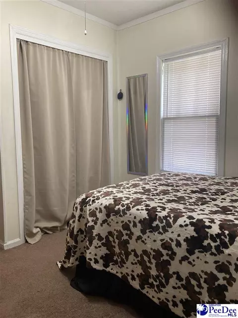 Bedroom - 151 E Pine Ave, Mcbee, SC 29101 photo 5 of 5