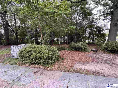 Exterior - 700 S 3rd Ave, Dillon, SC 29536 photo 2 of 2
