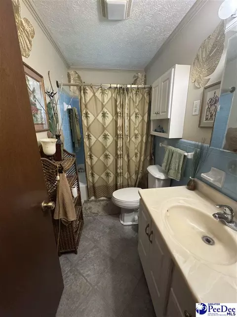 Bath - 432 Van Dyke Rd, Dillon, SC 29536 photo 1 of 2