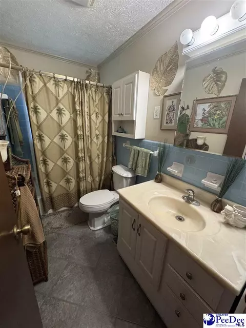 Bath - 432 Van Dyke Rd, Dillon, SC 29536 photo 2 of 2