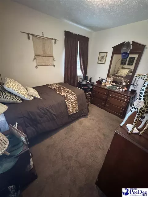 432 Van Dyke Rd, Dillon, SC 29536 photo 25