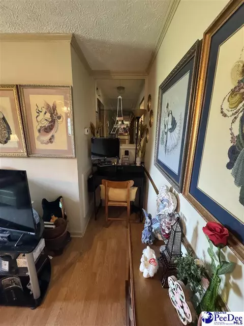 Entry Way - 432 Van Dyke Rd, Dillon, SC 29536 photo 2 of 2