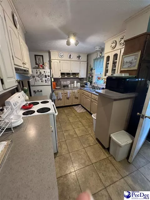 432 Van Dyke Rd, Dillon, SC 29536 photo 9