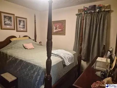 Bedroom - 432 Van Dyke Rd, Dillon, SC 29536 photo 1 of 4