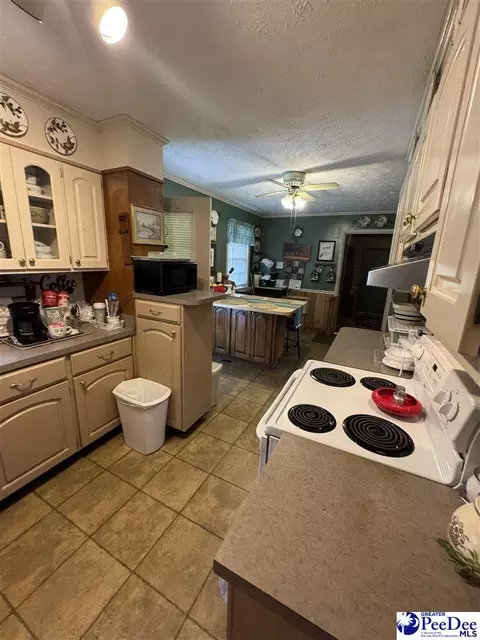 432 Van Dyke Rd, Dillon, SC 29536 photo 8