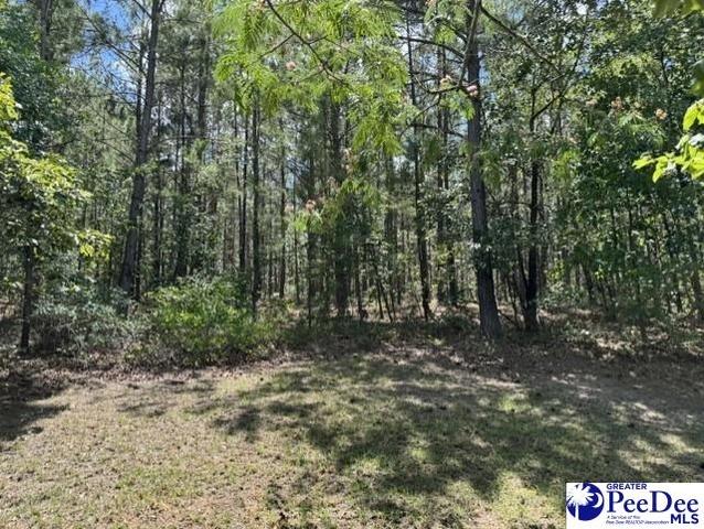 Wild Spring Road, Hartsville, SC 29550