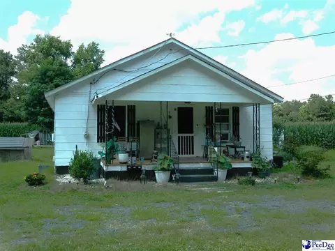 1472 Bay Branch Rd, Lamar, SC 29069 photo 1
