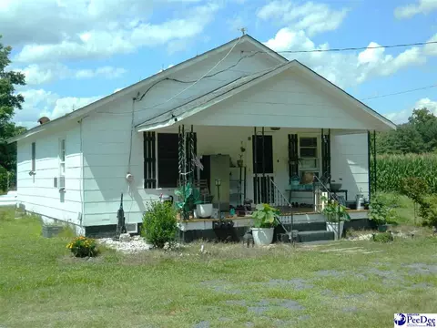 1472 Bay Branch Rd, Lamar, SC 29069 photo 2