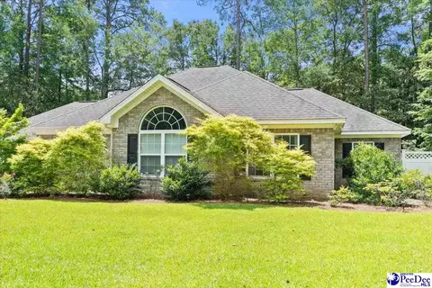 1003 Miller Ter, Hartsville, SC 29550