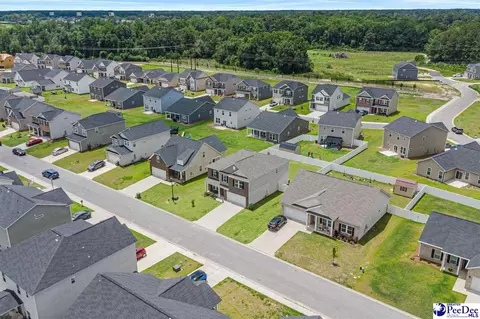 View/Area - 1017 Summer Duck Loop, Florence, SC 29501 photo 2 of 4
