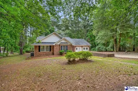 Exterior - 487 Ridge Rd, Cheraw, SC 29520 photo 3 of 12