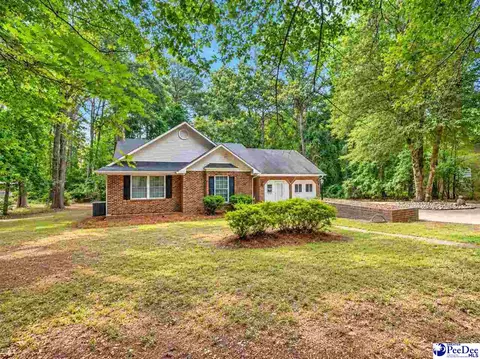Exterior - 487 Ridge Rd, Cheraw, SC 29520 photo 2 of 7