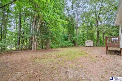 Exterior - 487 Ridge Rd, Cheraw, SC 29520 photo 12 of 12