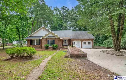 Exterior - 487 Ridge Rd, Cheraw, SC 29520 photo 2 of 12