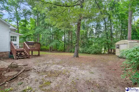 Exterior - 487 Ridge Rd, Cheraw, SC 29520 photo 6 of 12