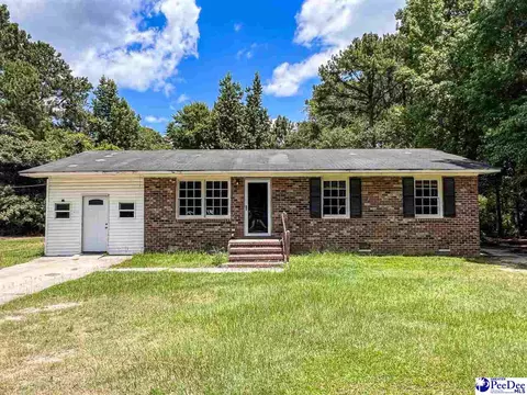 140 Magnolia Dr, Hemingway, SC 29554