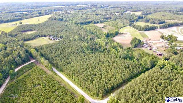 tbd W Jackson Rd, Chesterfield, SC 29709