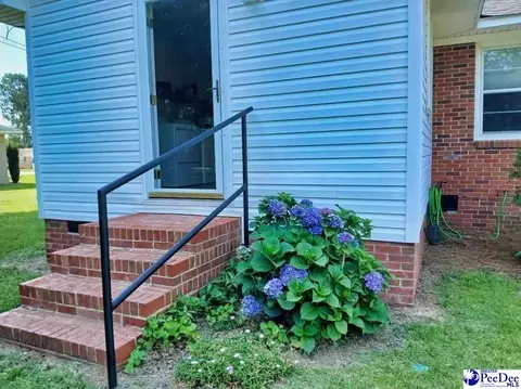 Exterior - 608 Diane Dr, Cheraw, SC 29520 photo 3 of 4