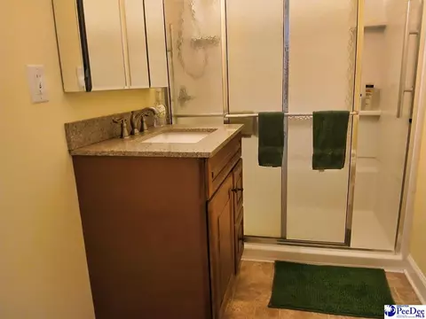 Bath - 608 Diane Dr, Cheraw, SC 29520 photo 2 of 2