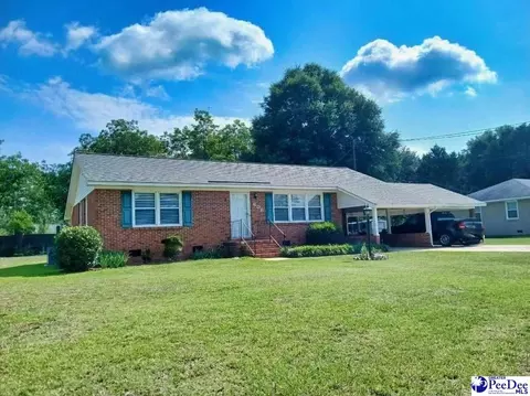608 Diane Dr, Cheraw, SC 29520 photo 2