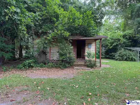 601 E Washington St, Dillon, SC 29536 photo 44