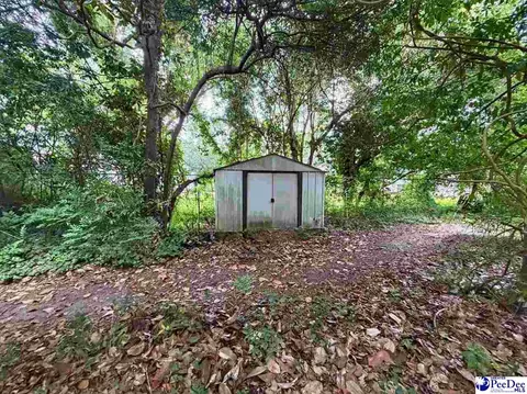 601 E Washington St, Dillon, SC 29536 photo 42